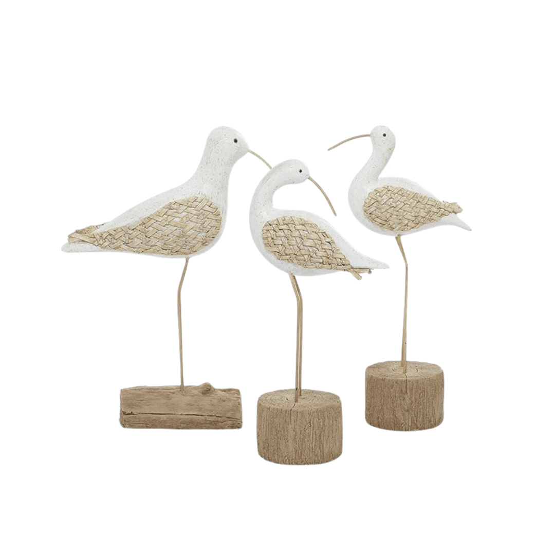 Seagull Decor