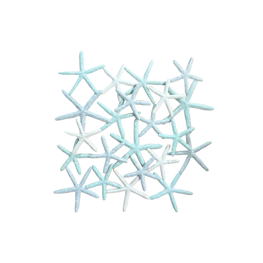 Starfish Wall Decor