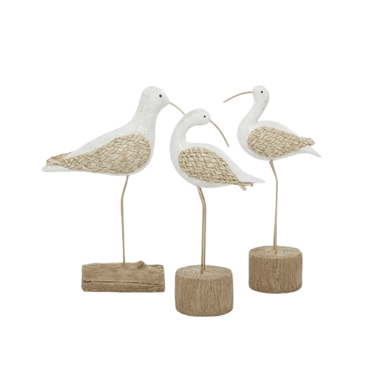 Seagull Decor