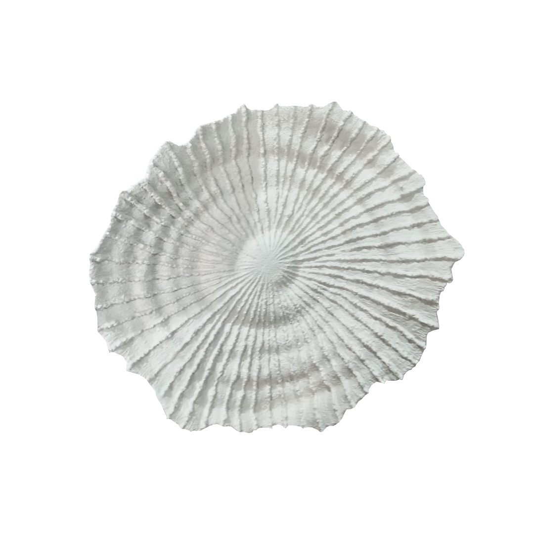 Coral Wall decor