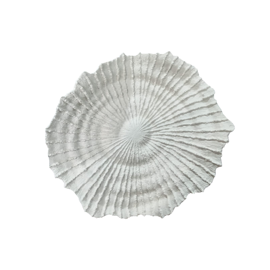 Coral Wall decor