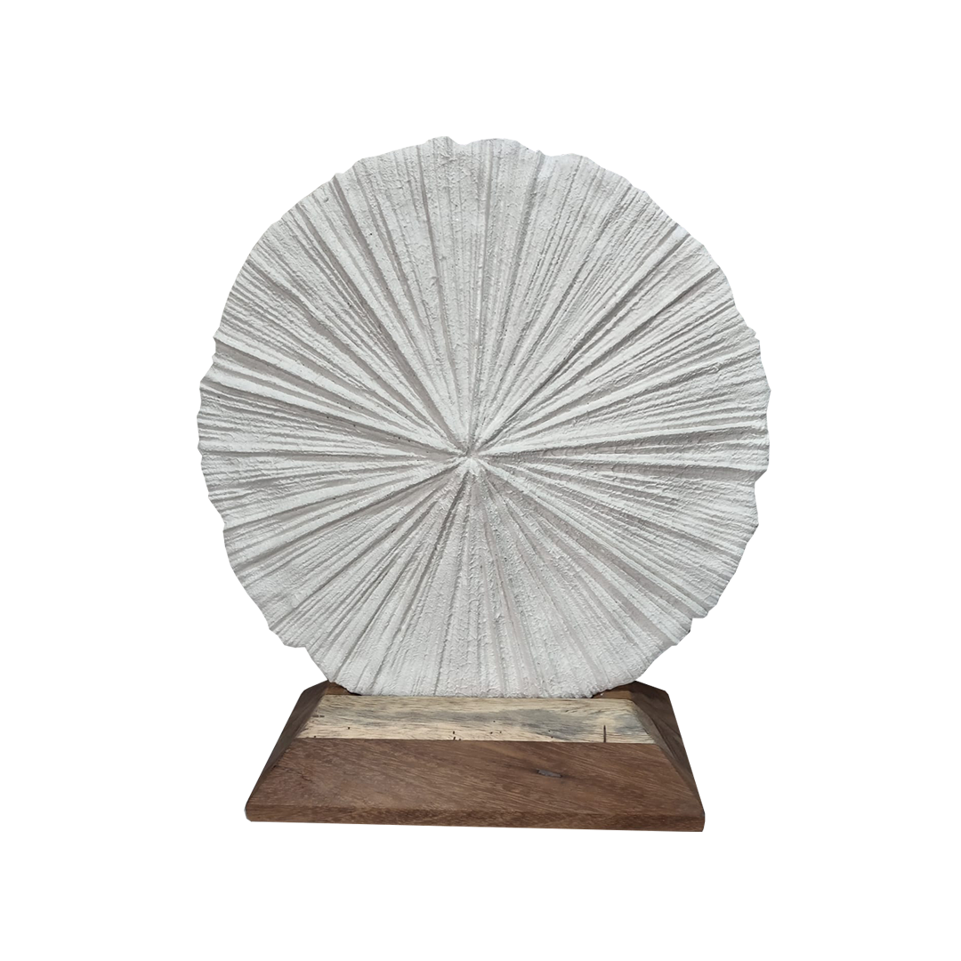 Coral Decor