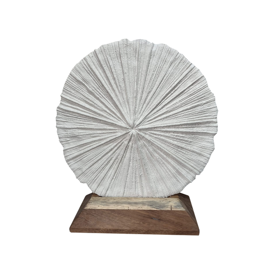 Coral Decor